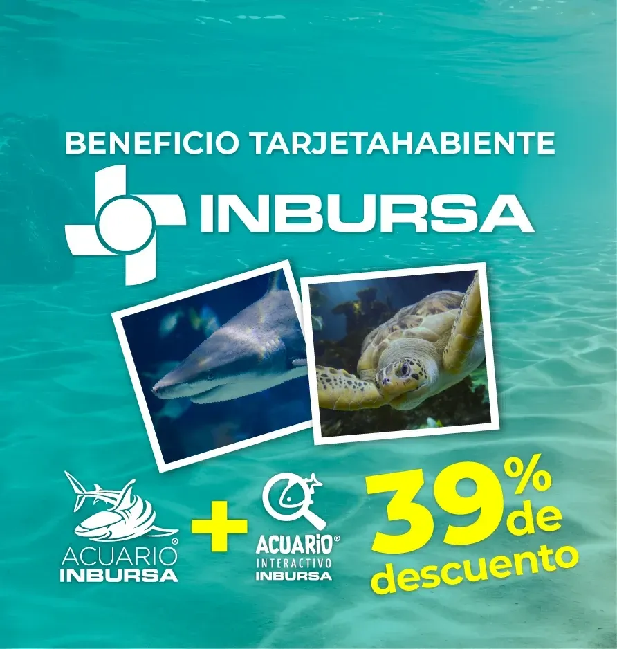 TarjetaHabiente Inbursa - Acuario Inbursa