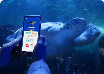 Experiencia Navegapp