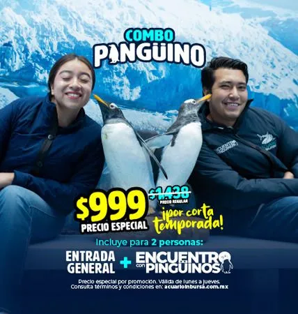 Combo Pingüino - Acuario Inbursa